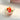 Fruity Magnet - Set of 3
